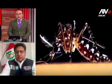 Director de hospital en Chincha informa: Tenemos más de 3 mil casos de dengue