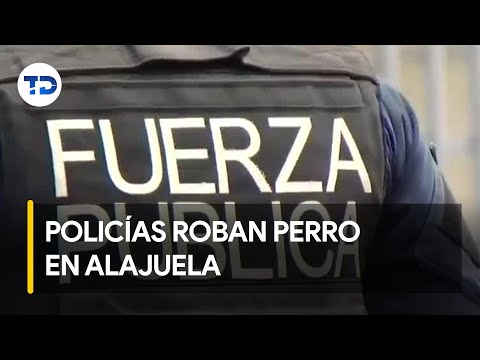 Policías se estarían negando a devolver perro en Alajuela