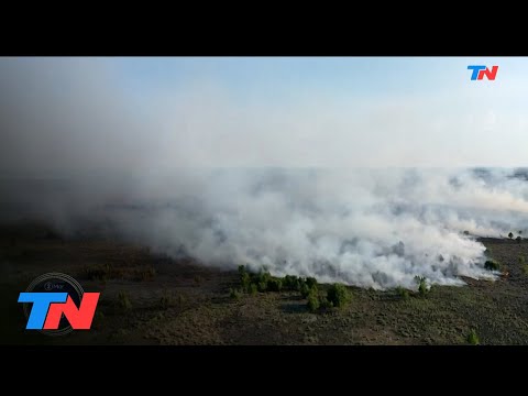 INCENDIOS EN LAS ISLAS DEL DELTA: calor, sequías y fuego sin control en Villa Paranacito