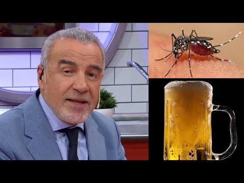 ALERTA DENGUE Y CERVEZA: ¿Beber cerveza atrae a los mosquitos?