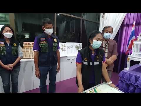 ไปดูโครงการอนุรักษ์พันธุกรรมพื ไปดูโครงการอนุรักษ์พันธุกรรมพื