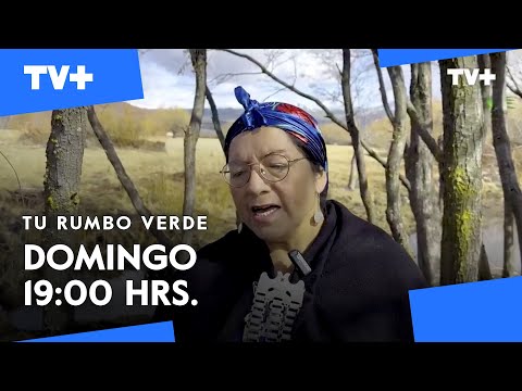 Tu Rumbo Verde | 06 de Octubre de 2024