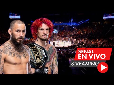 En Vivo: Chito Vera vs. Sean O'Malley, por el peso gallo UFC 299
