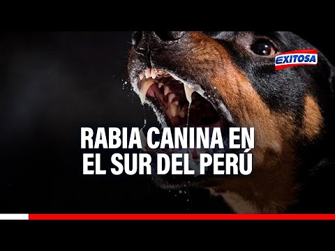 INS advierte fase endémica de la rabia canina en el sur, principalmente en Arequipa y Puno