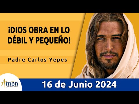 Evangelio De Hoy Domingo 16 Junio 2024 l Padre Carlos Yepes l Biblia l San Marcos 4, 26-34