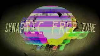 The Shrieks - Synaptic Free Zone