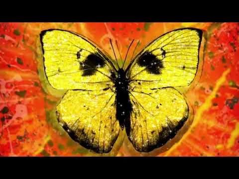 Ed Sheeran - Shivers [Acoustic]