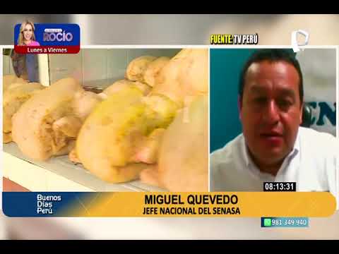 Gripe aviar: Senasa rechaza que haya sugerido comprar solo pollo o pavo congelado