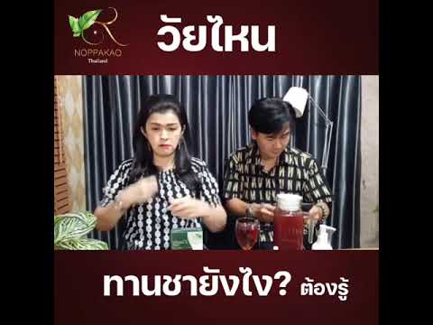 วัยไหนควรทานชายังไงต้องรู้ วัยไหนควรทานชายังไงต้องรู้