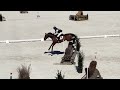 Eventing Pferd Très chouette jeune cheval de sport avec du potentiel