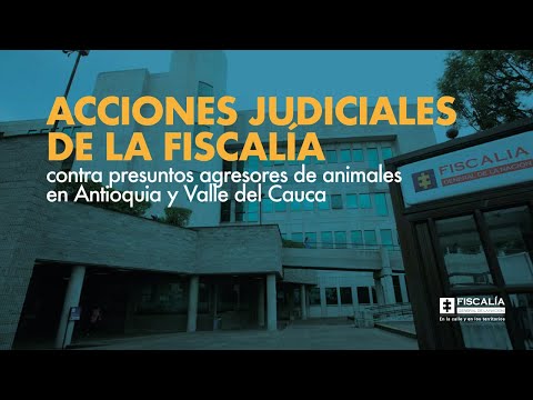 Acciones judiciales de la Fiscalía contra agresores de animales en Antioquia y Valle del Cauca