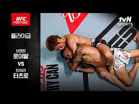 [UFC] 브랜든 로이발 vs 타이라 타츠로