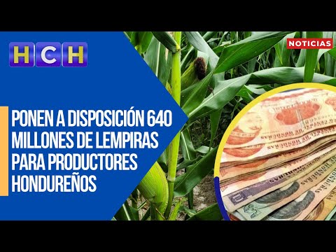 Ponen a disposición 640 millones de lempiras para productores hondureños