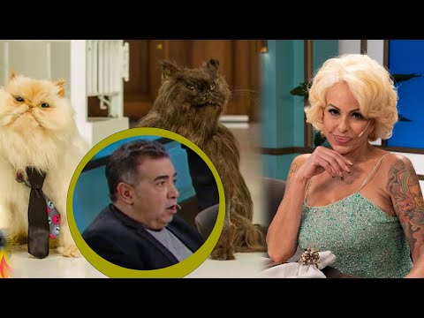 Daniela Cardone sorprendió a Diego Pérez al contar que tiene sus gatos embalsamados en la habitación