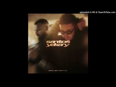 SANTOS, YAKARY - party girls don’t cry (Instrumental)