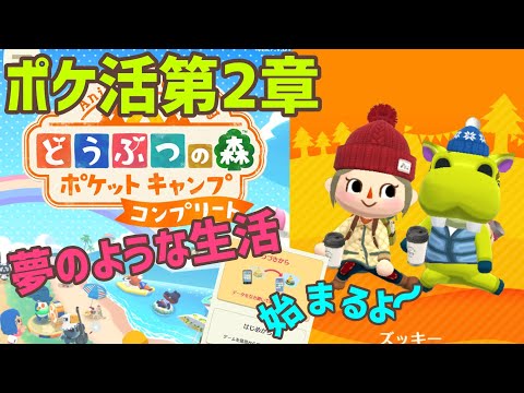 【ポケ森】待ちに待ったポケ森コンプリート！！1日早い配信ありがとうございます🎉✨新クッキーもたべたよ～😋