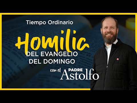 Homili?a del Domingo XXVI del Tiempo Ordinario   Ciclo B