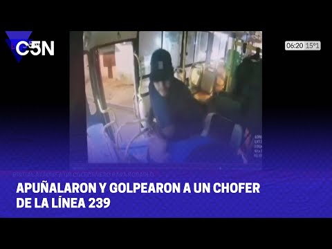 APUÑALARON y GOLPEARON a un CHOFER de la LÍNEA 239