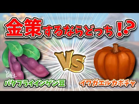 【パリア】新作物で金策するならどちらが良いの？についてお話します【攻略・解説】