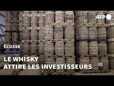 Ecosse: le whisky attire des investisseurs en mal de rendements | AFP