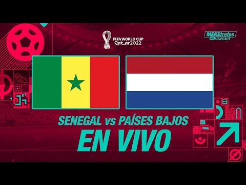 SENEGAL VS PAÍSES BAJOS en VIVO | MUNDIAL QATAR  2022