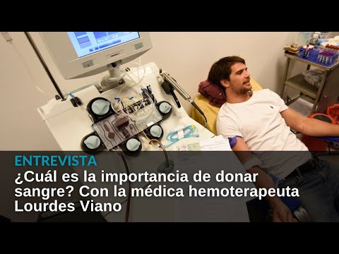 ¿Cuál es la importancia de donar sangre? Con la médica homoterapeuta Lourdes Viano