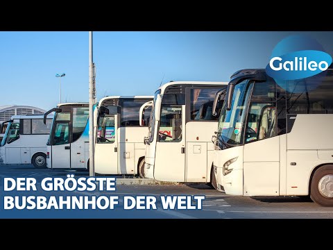 Hier fahren bis zu 2000 Busse pro Tag! - Wie funktioniert so ein Mega-Busbahnhof?