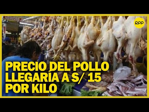 Gripe aviar en Perú: Kilo de pollo llegaría a S/15 en abril
