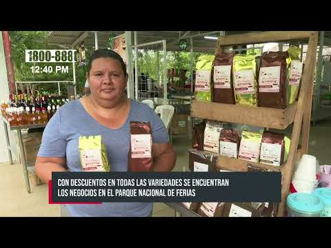 Variedades de productos en los negocios en el Parque Nacional de Ferias - Nicaragua