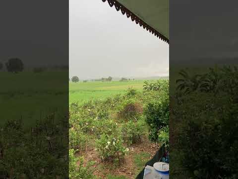 สายฝน🌧️เกษตรยามว่างbyป้าเทีย