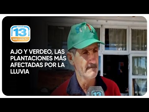 Ajo y verdeo, las plantaciones más afectadas por la lluvia