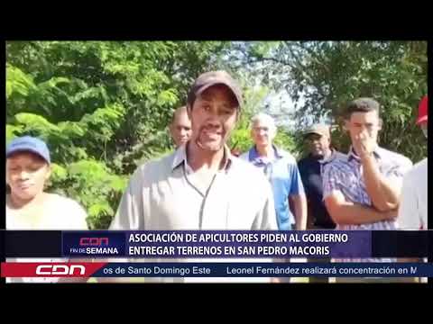 Asociación de Apicultores piden al Gobierno entregar terrenos en San Pedro de Macorís