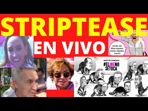 STRIPTEASE! MONREAL PROMOTOR DE LA MARCHA PRO INE! AMLO APLASTANTE CON PROSESO! SE ENCUERARON TODOS!