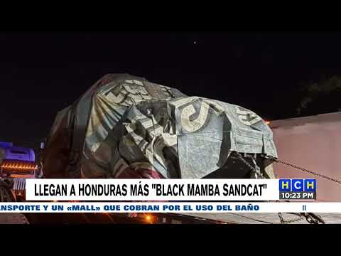 Llegan a Honduras más Black mamba sandcat