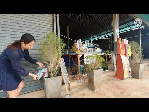 ปู่กับย่าคึดฮอดหลานๆ-เลยแวะไปเ ปู่กับย่าคึดฮอดหลานๆ-เลยแวะไปเ
