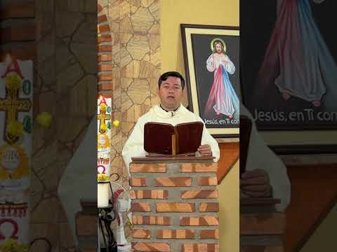 #EvangeliodeHoy #MisadeHoy Sábado 27 de abril de 2024 #Padre Ricardo Prato #Short