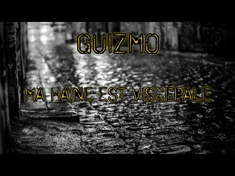 Guizmo  - Ma Haine Est Viscérale