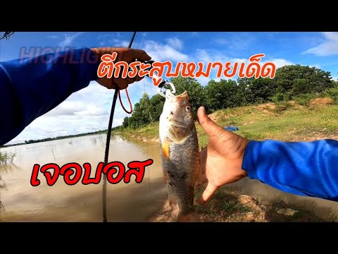 ตกปลากระสูบช่องน้ำใหลทีเด็ดห