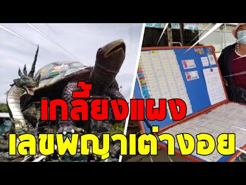 ตึกคัก-อั้นมานาน--คอหวยแห่ขอโช ตึกคัก-อั้นมานาน--คอหวยแห่ขอโช