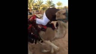 فيديو:ماقالك احد تركب!!