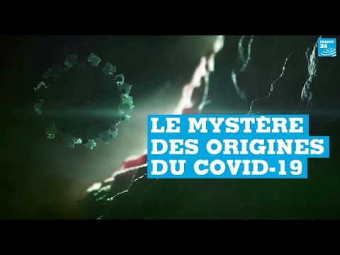 Covid-19 : un an après le premier décès, le mystère sur l’origine du virus demeure