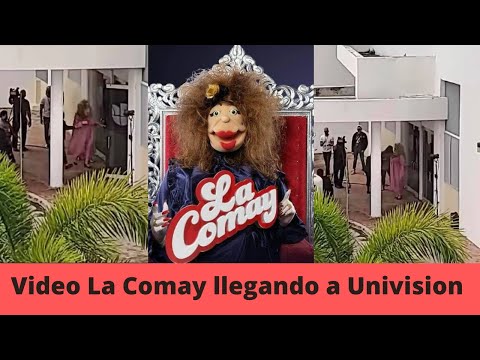 Video La Comay llega caminando a Univision Que Bochinche!!