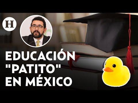 Título universitario de Ulises Lara: Experta explica el proceso para emitir cédulas universitarias