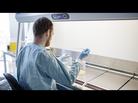 Coronavirus | Alemania y Reino Unido inician pruebas de vacunas en humanos