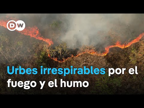 Cada vez hay más incendios en Brasil, y muchos de ellos son intencionados