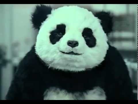 Video: Never say no to panda - 