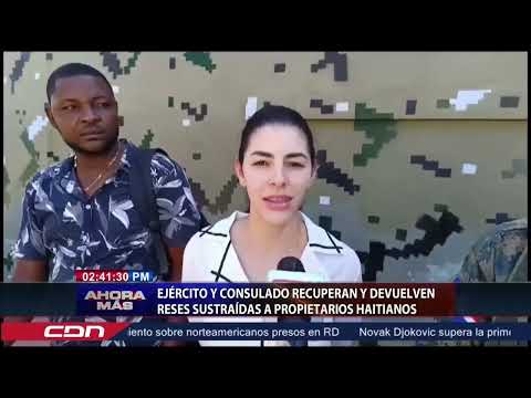 Ejército y Consulado recuperan y devuelven reses sustraídas a propietarios haitianos