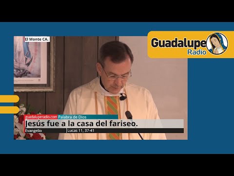 Evangelio de hoy 15/octubre/2024