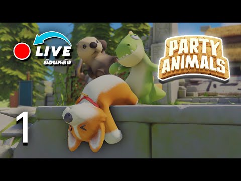 🔴Liveย้อนหลัง|PartyAnima