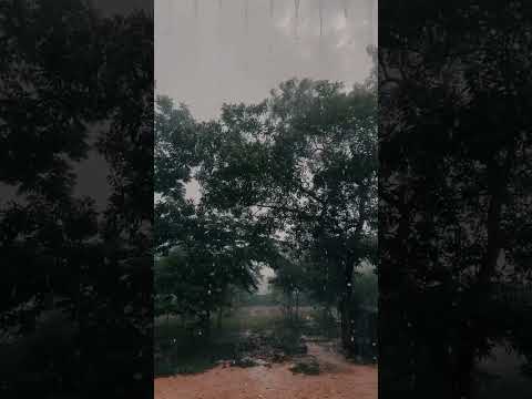 ฝนตกไหม